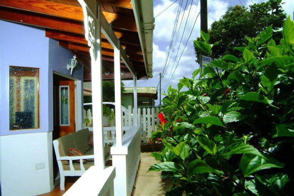 Tropical Breeze Vacation Home And Apartments Gros-Islet Buitenkant foto